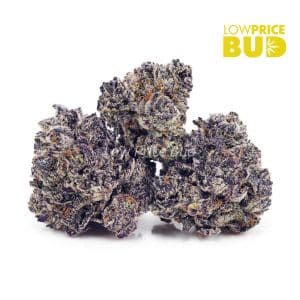 Buy Build Your Own 7g online Canada