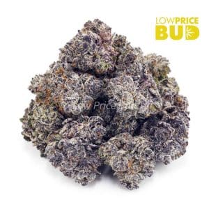 Buy Purple Freeze (AAAA) online Canada