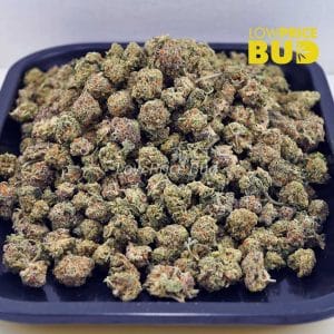 Buy Hells Angel OG (AAAA) – Popcorn Nugs online Canada