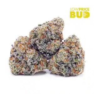 Buy Strawberry Bomb (AAA) online Canada