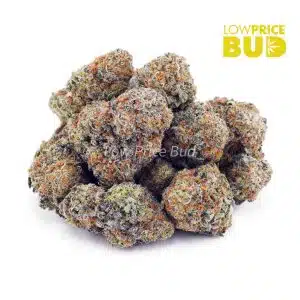 Buy Strawberry Bomb (AAA) online Canada