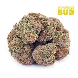 Rainbow Kush (AA) Buy Rainbow Kush (AA) online Canada