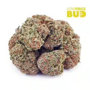 Buy Rainbow Kush (AA) online Canada