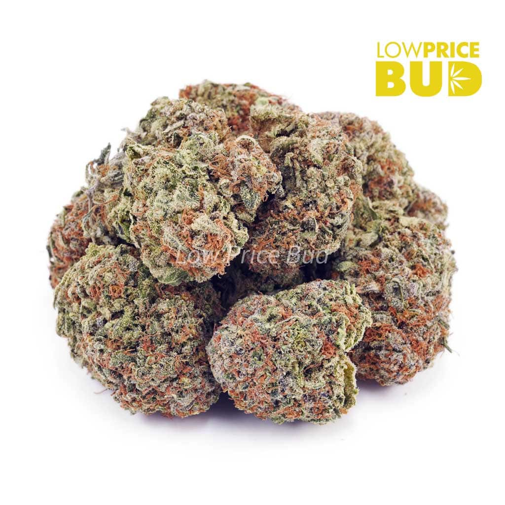 Rainbow Kush (AA) Buy Rainbow Kush (AA) online Canada