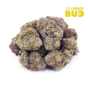 Buy Pineapple Bomb (Craft Cannabis) online Canada