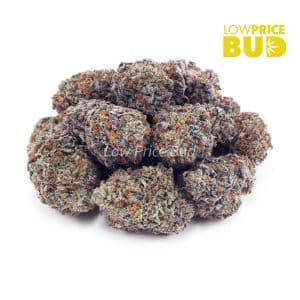 Buy Atomic Northern Lights (AAAA) online Canada