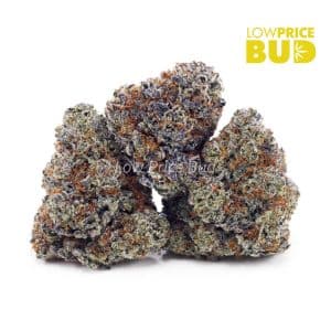 Buy Afghan Goo (AAAA) online Canada