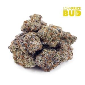 Buy Afghan Goo (AAAA) online Canada