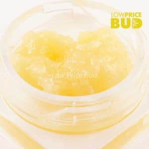 Buy Caviar – Gastro Pop online Canada