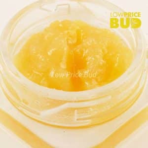Buy Caviar – Pink Candy Kush online Canada
