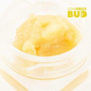 Buy Caviar – Pink Mike Tyson online Canada