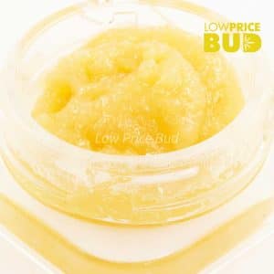 Buy Caviar – Starkiller online Canada