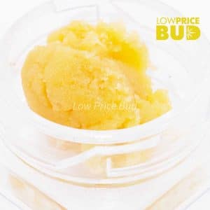 Buy Caviar – Supreme Gas Mask online Canada