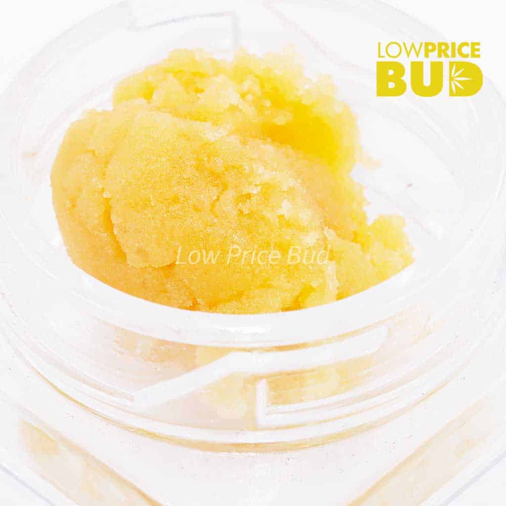 Caviar – Supreme Gas Mask Buy Caviar – Supreme Gas Mask online Canada