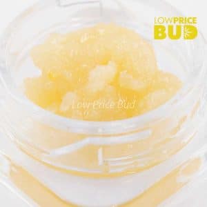 Buy Caviar – Ultra Pink online Canada