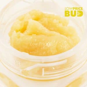 Caviar – White Walker Bubba Buy Caviar – White Walker Bubba online Canada