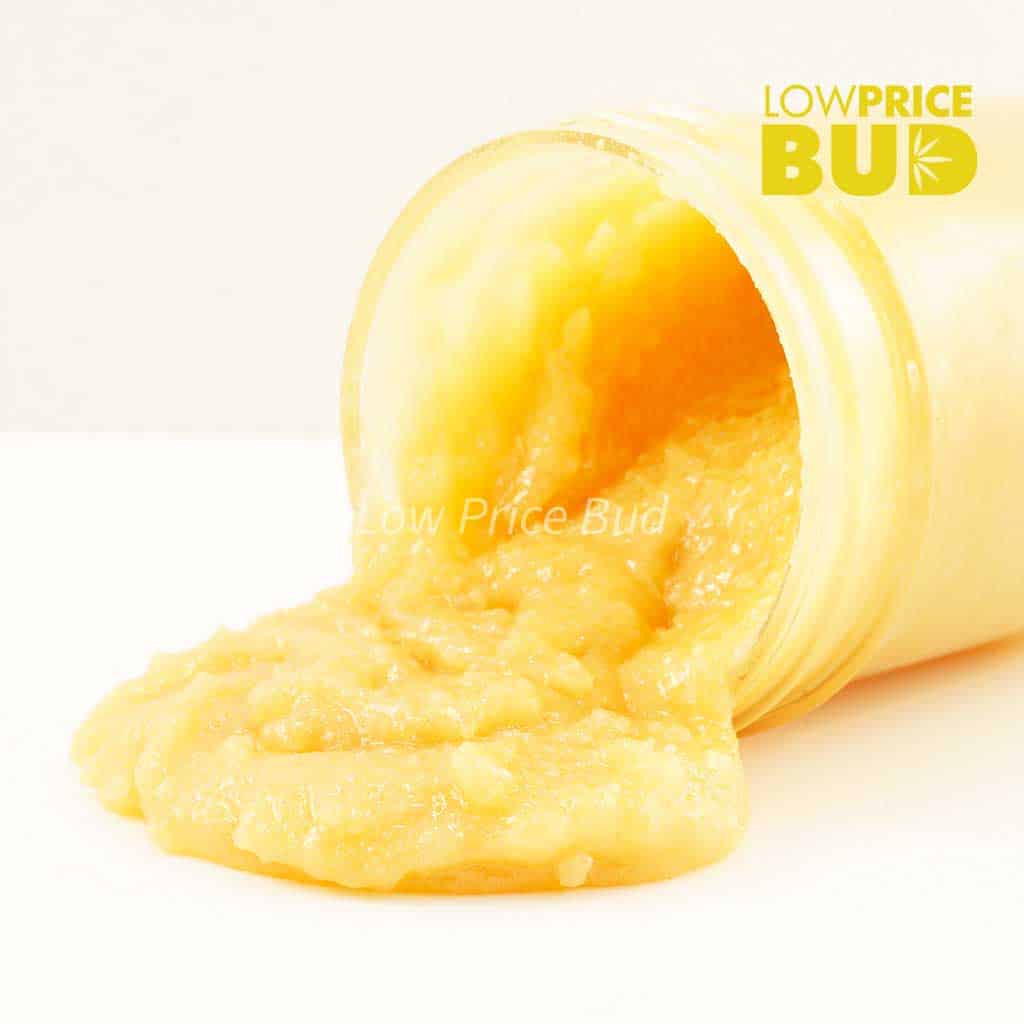Caviar – Corleone Kush Buy Caviar – Corleone Kush online Canada