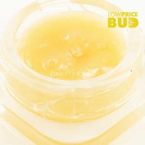 Live Resin – Motor Breath Buy Live Resin – Motor Breath online Canada