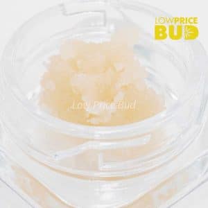 Live Resin – Pine Tar Buy Live Resin – Pine Tar online Canada