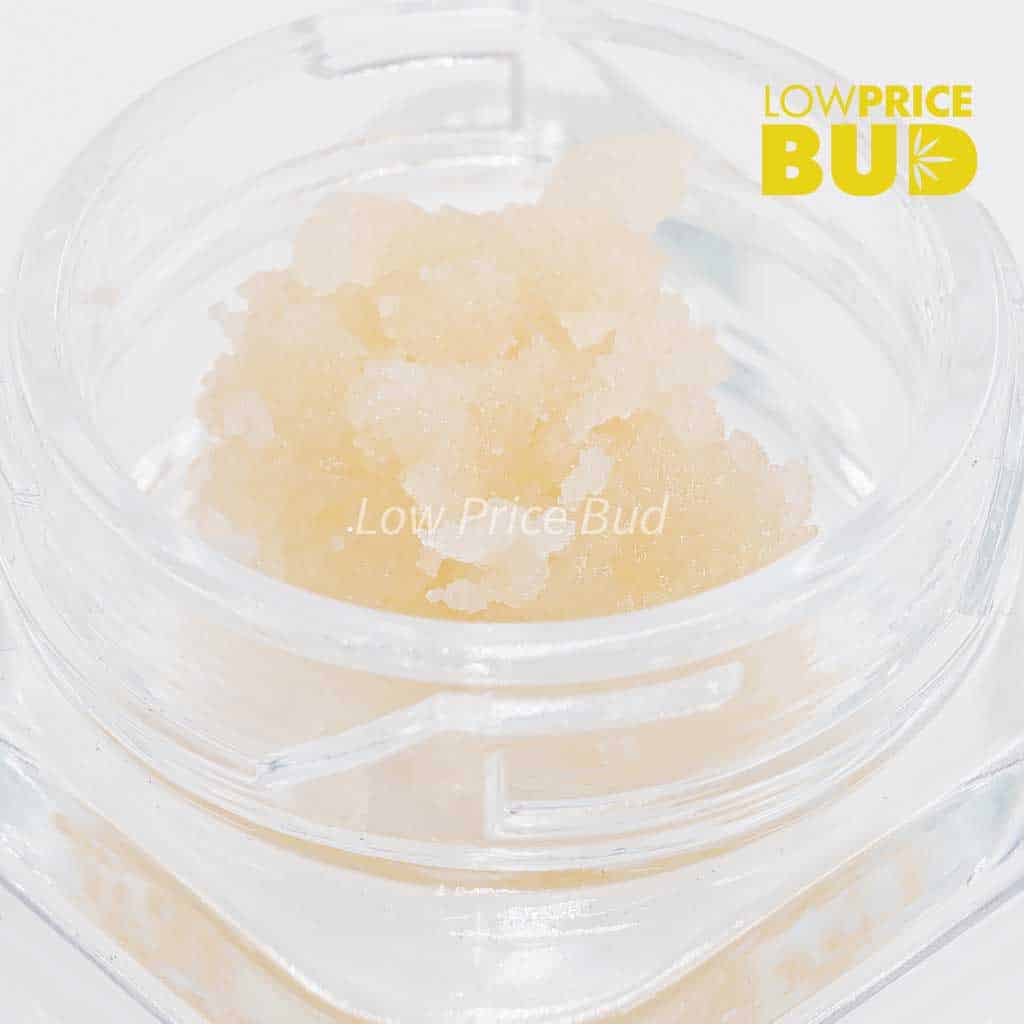 Live Resin – Pine Tar Buy Live Resin – Pine Tar online Canada