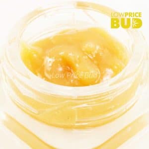 Buy Live Resin – Pink Panther online Canada