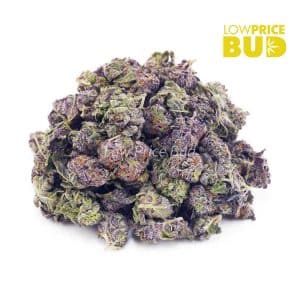 White Truffle (AAAA) – Popcorn Nugs Buy White Truffle (AAAA) – Popcorn Nugs online Canada
