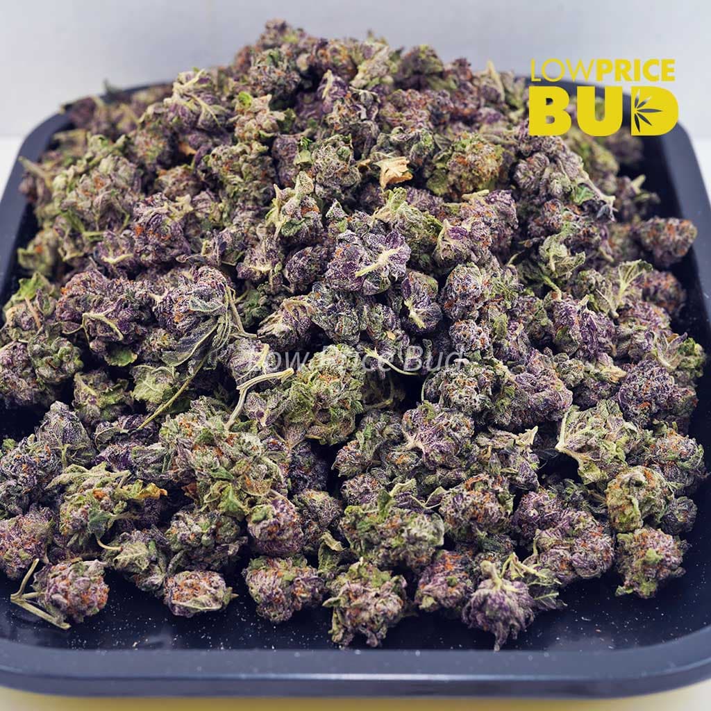 White Truffle (AAAA) – Popcorn Nugs Buy White Truffle (AAAA) – Popcorn Nugs online Canada