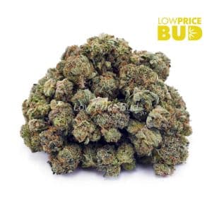 Buy Build Your Own (AAAA) Popcorn Pound 4 x 112g online Canada