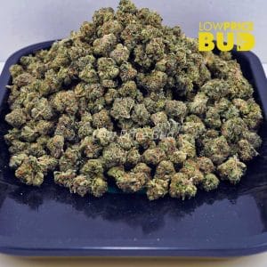 Buy King Kong (AAAA) – Popcorn Nugs online Canada