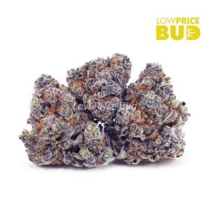 Goji Grape (AAA) Buy Goji Grape (AAA) online Canada