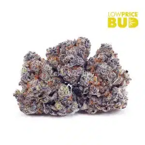 Buy Goji Grape (AAA) online Canada