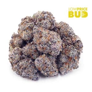 Goji Grape (AAA) Buy Goji Grape (AAA) online Canada