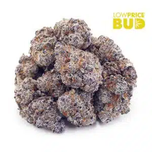 Buy Goji Grape (AAA) online Canada