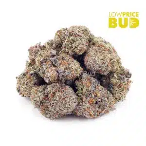 Buy LA Confidential (AAA) online Canada
