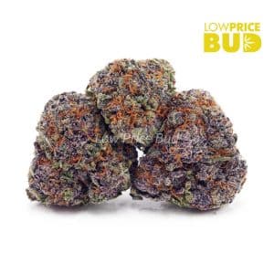 Mendo Kush (AAA) Buy Mendo Kush (AAA) online Canada