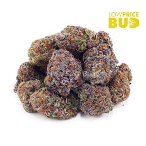 Mendo Kush (AAA) Buy Mendo Kush (AAA) online Canada
