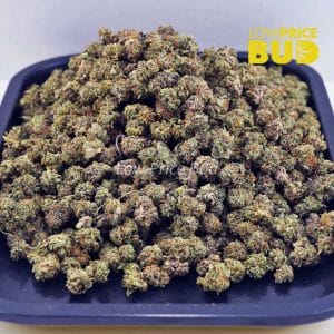 Stripper Shit (AAAA) – Popcorn Nugs Buy Stripper Shit (AAAA) – Popcorn Nugs online Canada