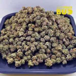 Buy Stripper Shit (AAAA) – Popcorn Nugs online Canada