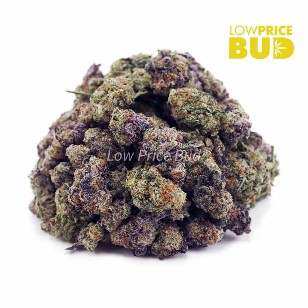 Melonade (AAAA) – Popcorn Nugs Buy Melonade (AAAA) – Popcorn Nugs online Canada
