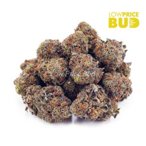 Buy Skunk #1 (AAA) online Canada