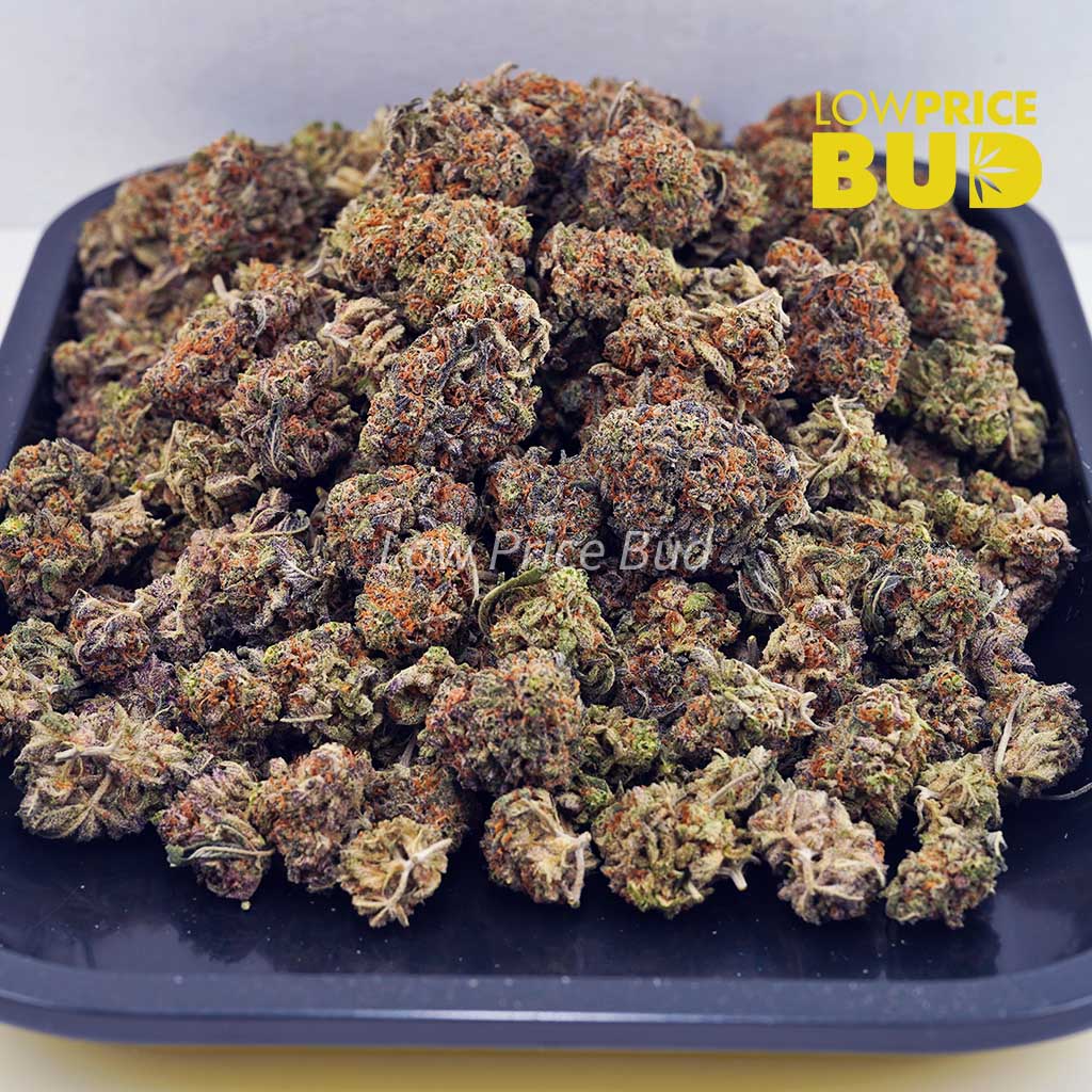 Skunk #1 (AAA) Buy Skunk #1 (AAA) online Canada