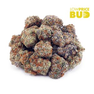Buy Rainbow Kush (AA) online Canada