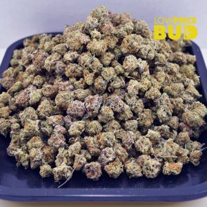 Stripper Spit (AAAA) – Popcorn Nugs Buy Stripper Spit (AAAA) – Popcorn Nugs online Canada