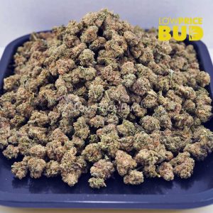 Buy MAC Donuts (AAAA) – Popcorn Nugs online Canada