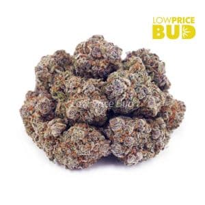 Buy Maui Mist (AAA) online Canada