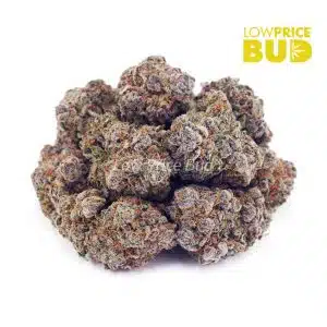 Buy Maui Mist (AAA) online Canada