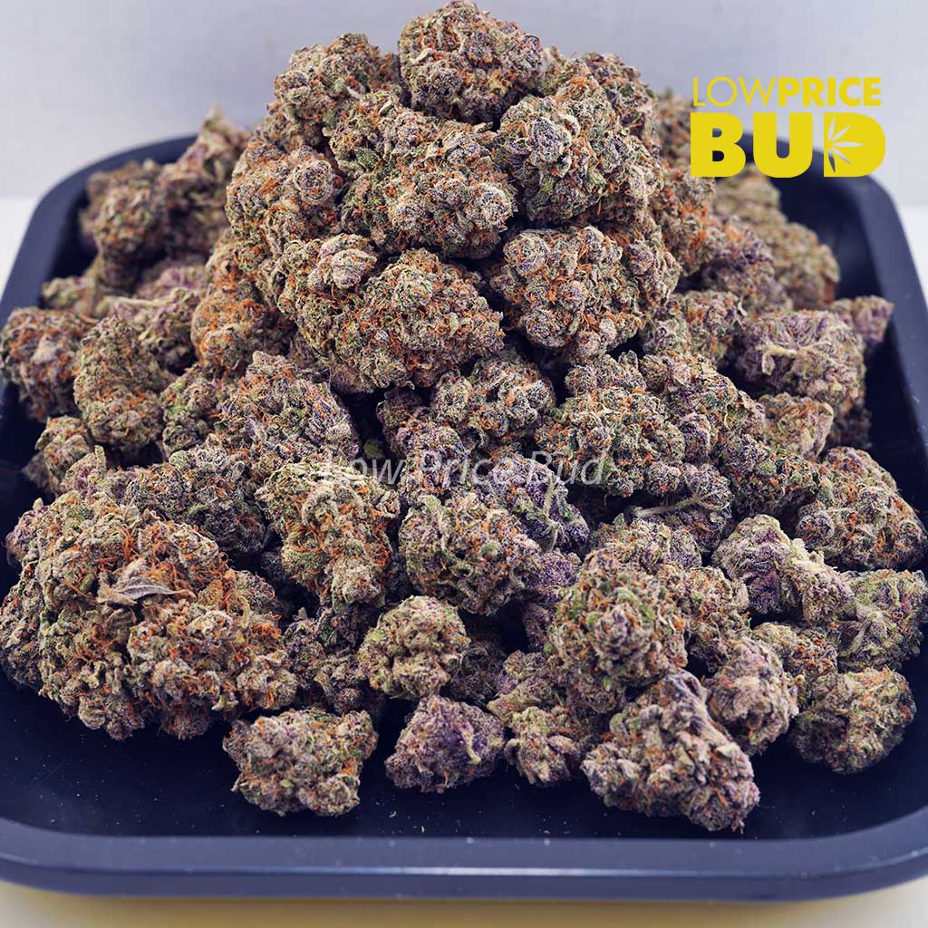 Maui Mist (AAA) Buy Maui Mist (AAA) online Canada