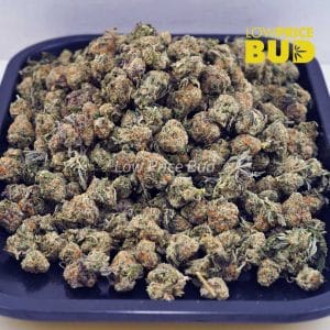 Buy Jungle Mintz (AAAA) – Popcorn Nugs online Canada