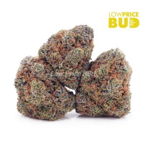 Buy Orange Juice Kush (AAAA) online Canada