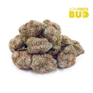 Orange Juice Kush (AAAA) Buy Orange Juice Kush (AAAA) online Canada